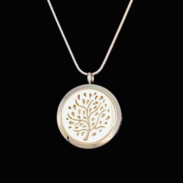 Aromatherapy locket